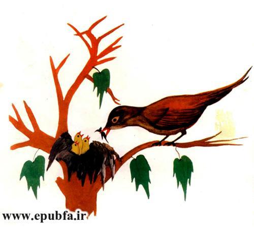 مجموعه شعر کودکانه قدیمی: باغ وحش برای بچهها / آموزش نام حیوانات به کودکان 6